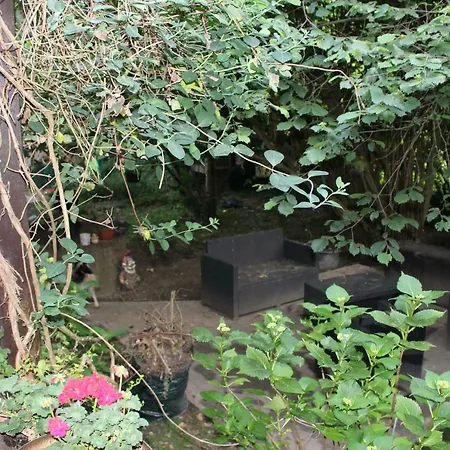 Le Rabot Holiday home